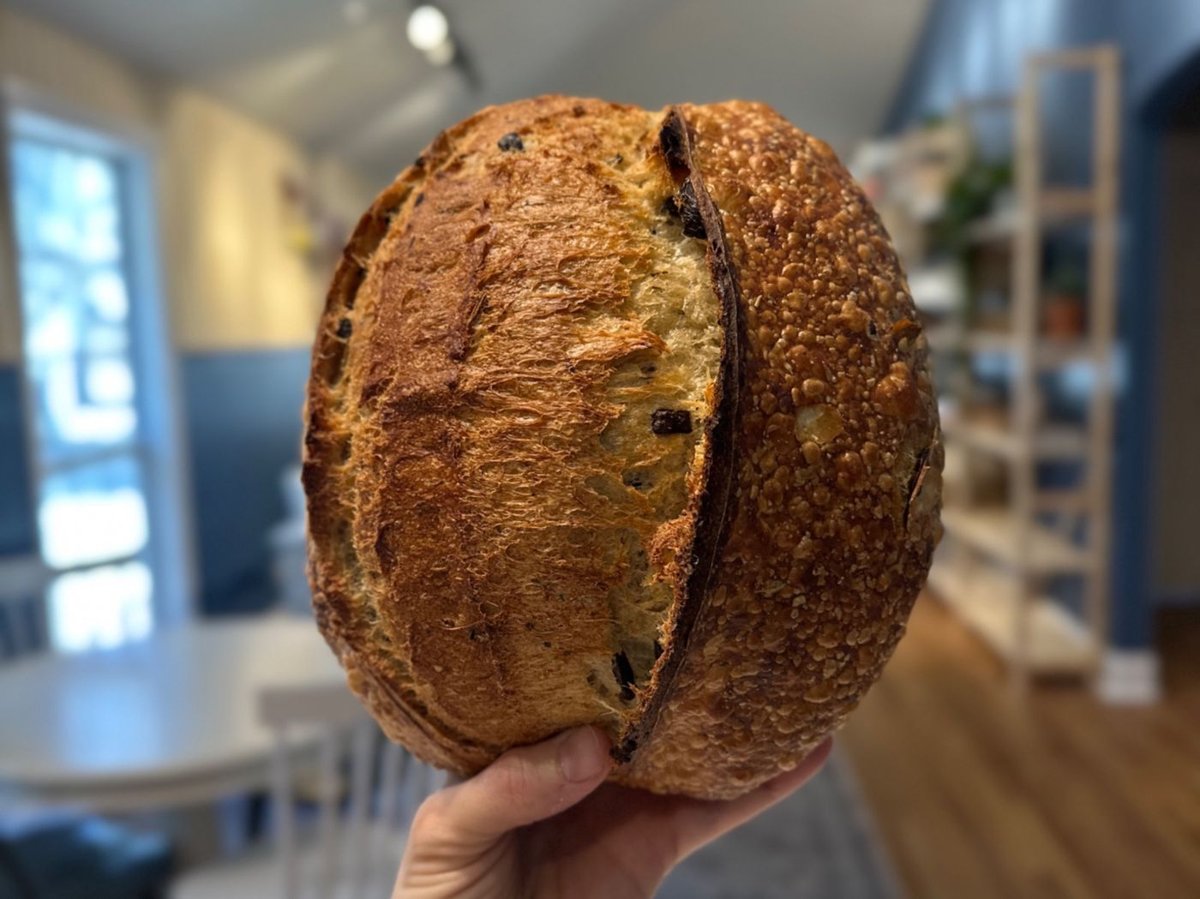 Kalamata Olive & Herbes de Provence