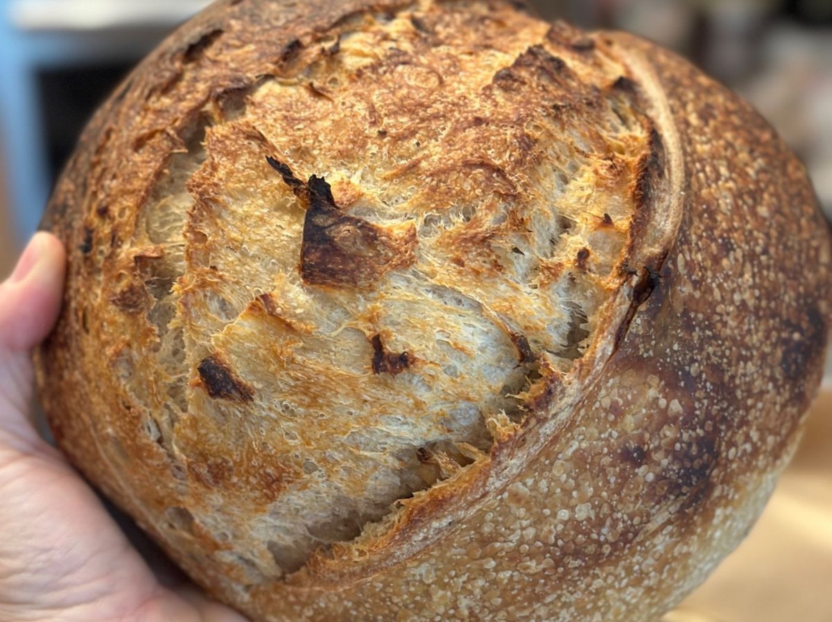Caramelized Onion & Thyme Sourdough Bread